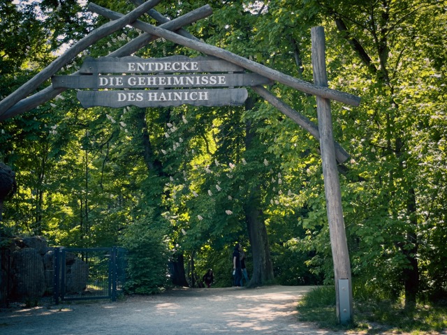 Eingang zum Baumkronenpfad im Nationalpark Hainich