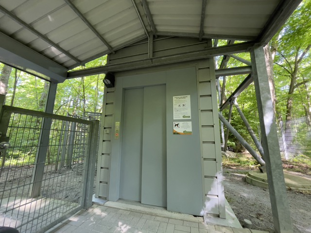 Per Aufzug geht es in die Höhe -  Baumkronenpfad im Nationalpark Hainich