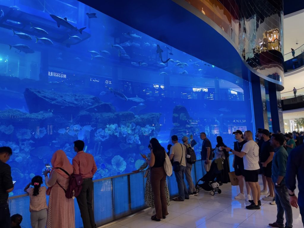 Riesiges Aquarium in der Dubai Mall